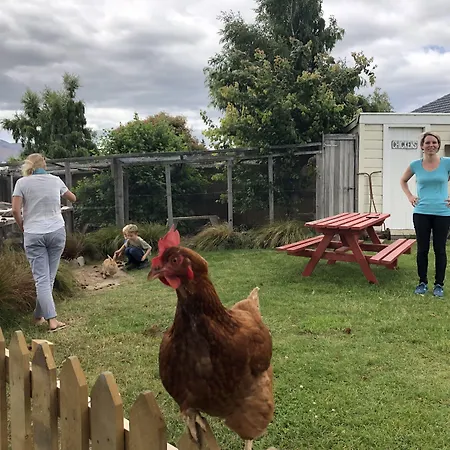 Tailor Made Tekapo Accommodation - Hostel-2